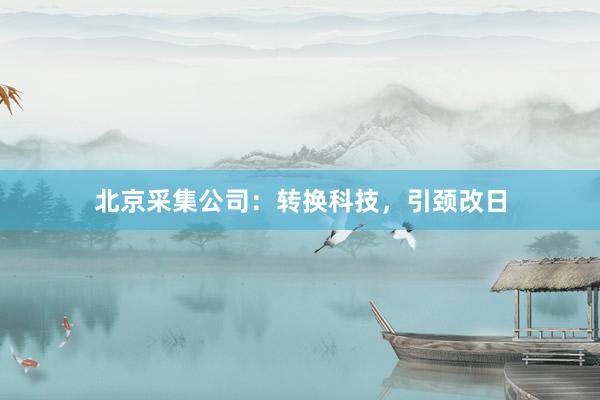 北京采集公司：转换科技，引颈改日