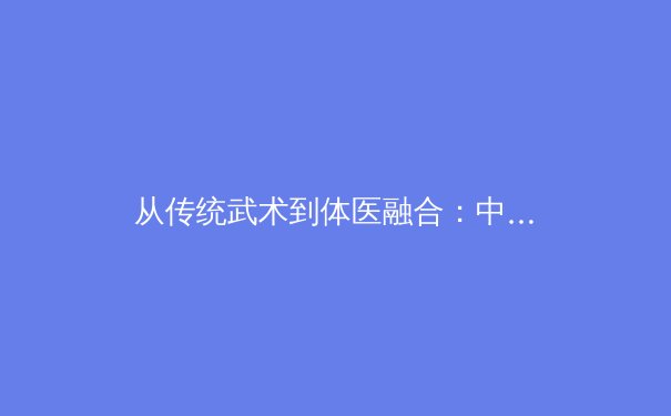 从传统武术到体医融合：中华体育文化的现代化转型与健康价值重构 - 2